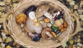 a basket filled with lots of different types of mushrooms